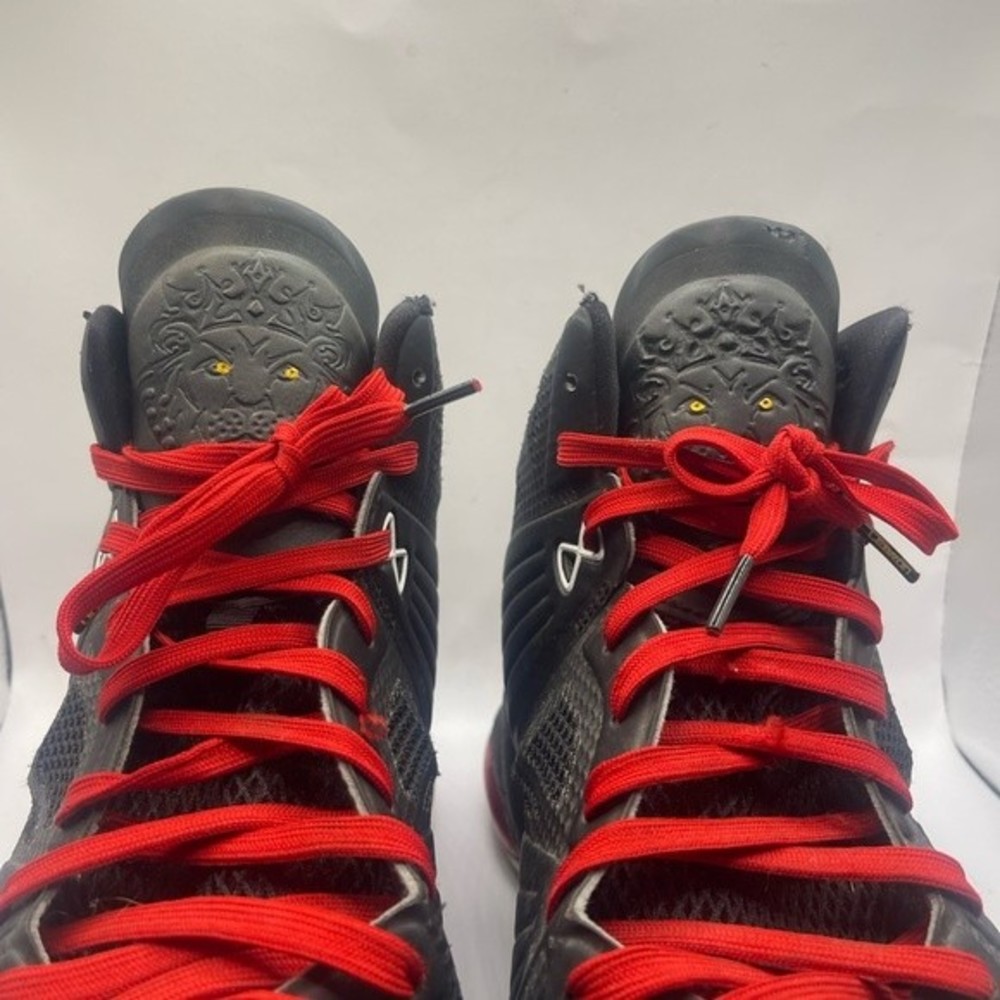 Nike Lebron Bred View 3